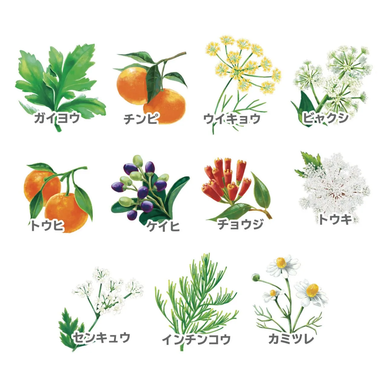 唯一無二の医薬部外品漢方ハーブ
